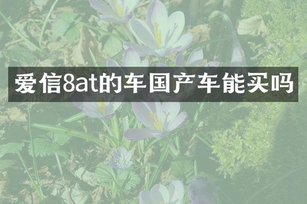爱信8at的车国产车能买吗