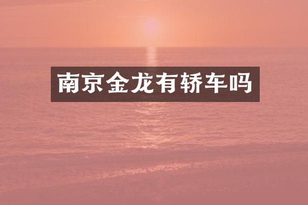 南京金龙有轿车吗