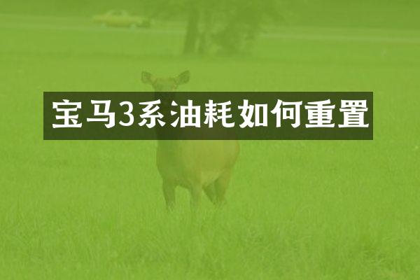 宝马3系油耗如何重置