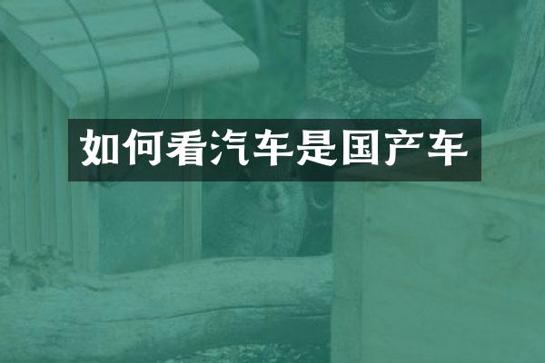 如何看汽车是国产车