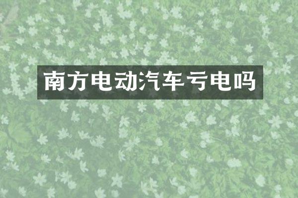 南方电动汽车亏电吗