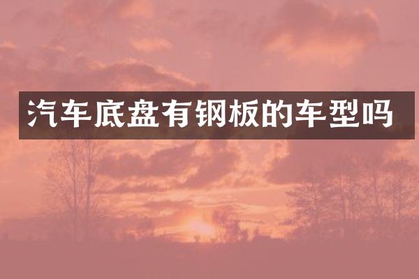 汽车底盘有钢板的车型吗
