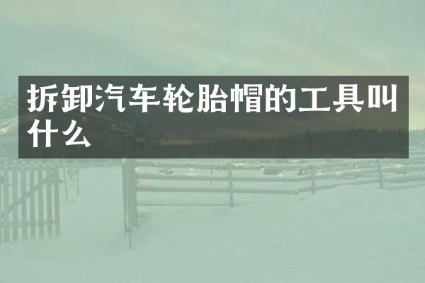 拆卸汽车轮胎帽的工具叫什么
