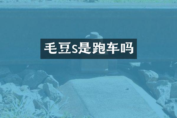 毛豆s是跑车吗