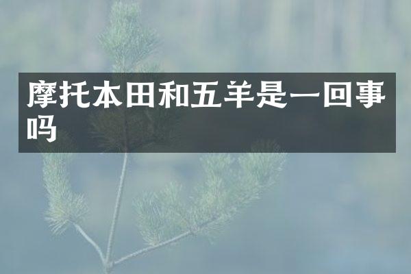摩托本田和五羊是一回事吗