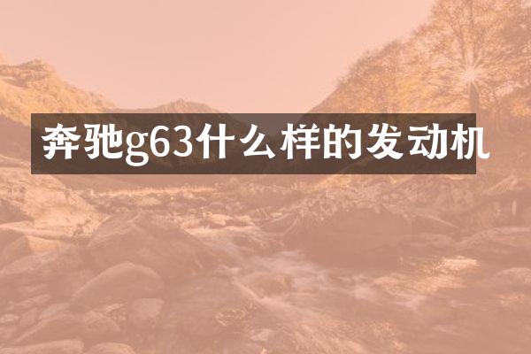 奔驰g63什么样的发动机