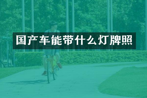 国产车能带什么灯牌照