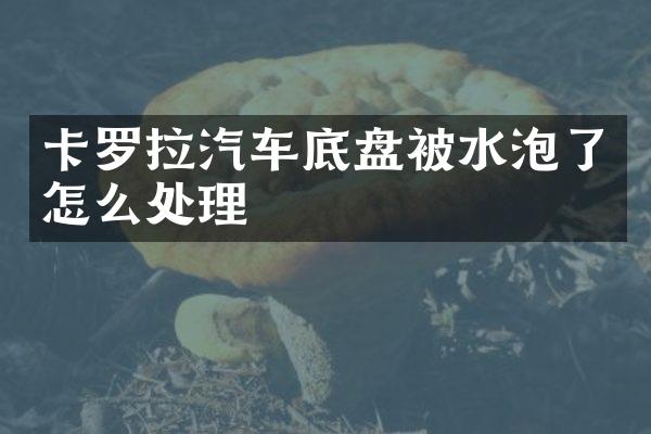 卡罗拉汽车底盘被水泡了怎么处理