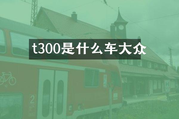 t300是什么车大众
