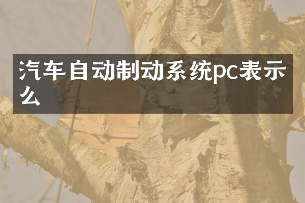 汽车自动制动系统pc表示什么