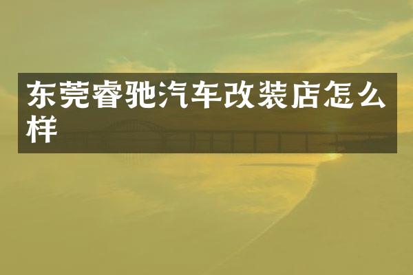 东莞睿驰汽车改装店怎么样