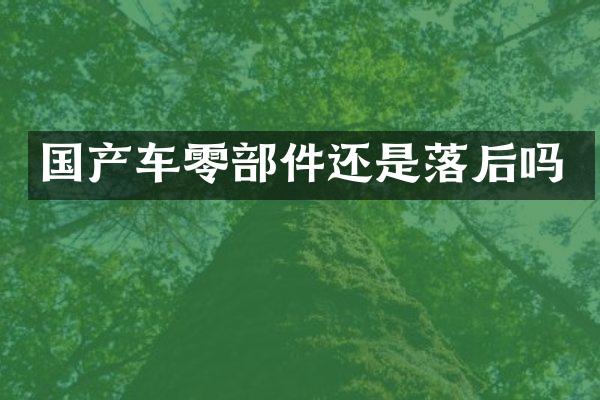 国产车零部件还是落后吗