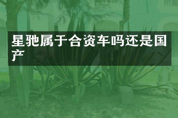星驰属于合资车吗还是国产