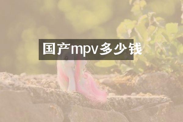 国产mpv多少钱