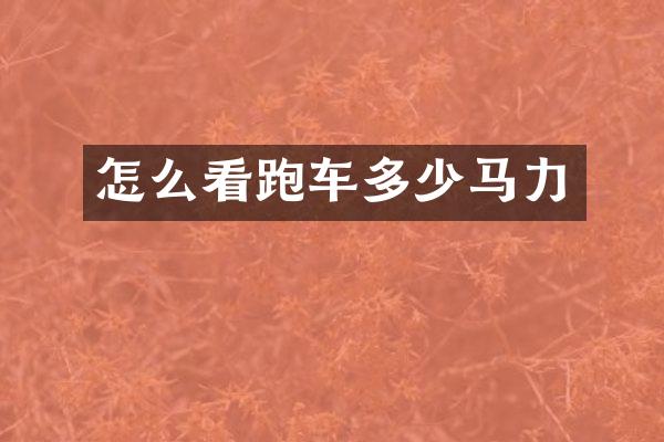 怎么看跑车多少马力