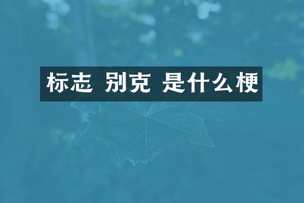 标志 别克 是什么梗