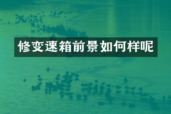 修变速箱前景如何样呢