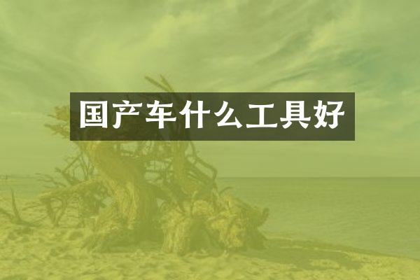 国产车什么工具好
