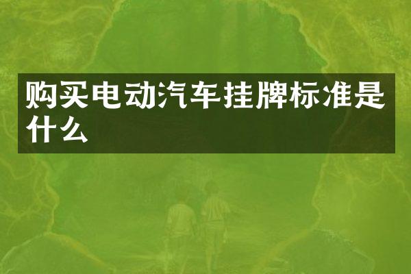 购买电动汽车挂牌标准是什么