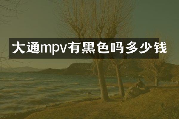 大通mpv有黑色吗多少钱