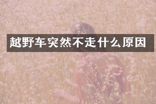 越野车突然不走什么原因