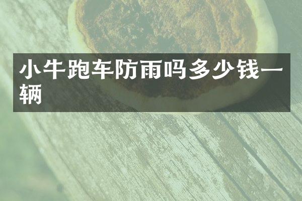小牛跑车防雨吗多少钱一辆