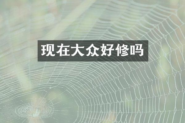 现在大众好修吗