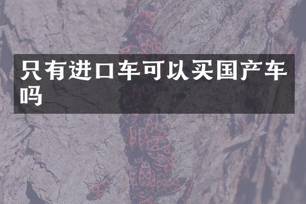 只有进口车可以买国产车吗