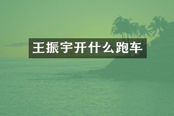 王振宇开什么跑车