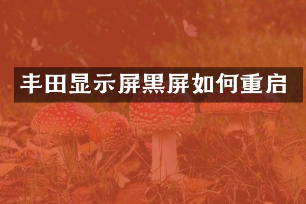 丰田显示屏黑屏如何重启