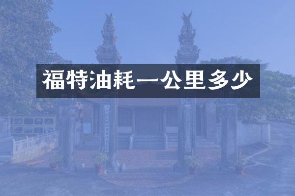 福特油耗一公里多少