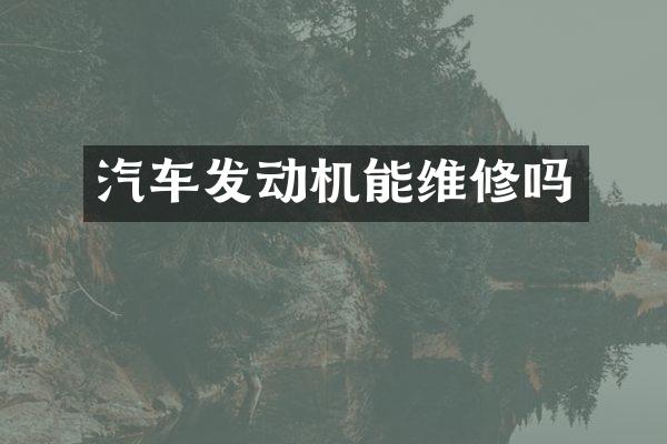 汽车发动机能维修吗