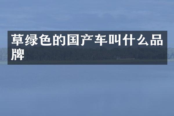 草绿色的国产车叫什么品牌