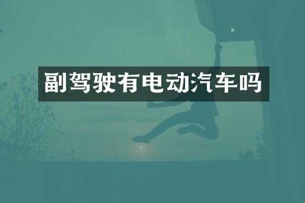 副驾驶有电动汽车吗