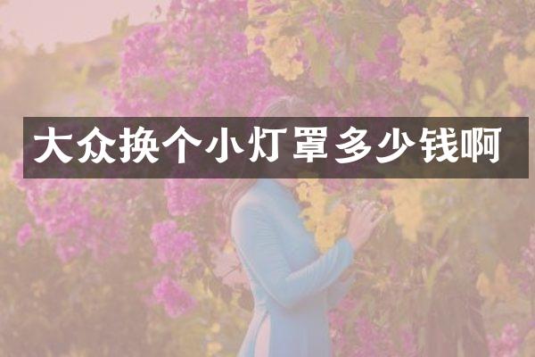 大众换个小灯罩多少钱啊