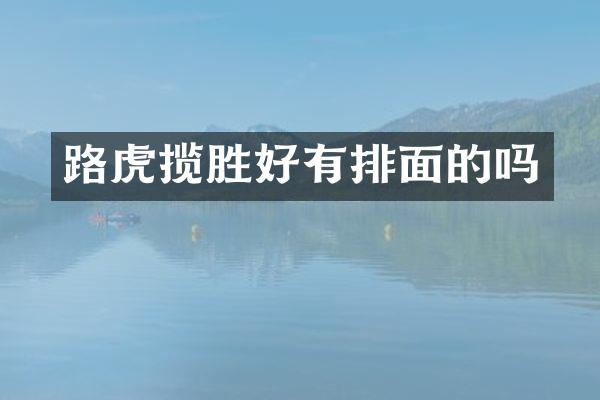 路虎揽胜好有排面的吗