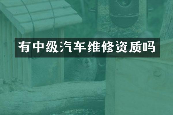 有中级汽车维修资质吗