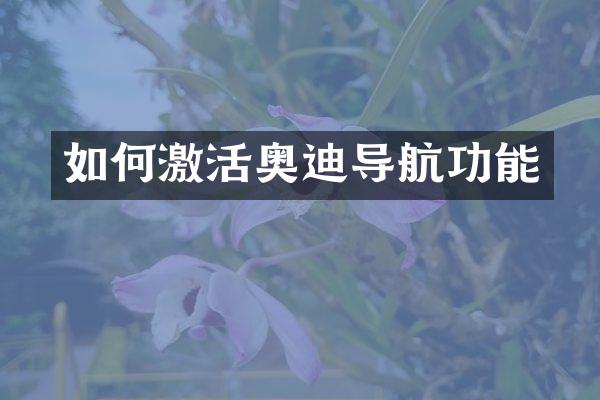 如何激活奥迪导航功能