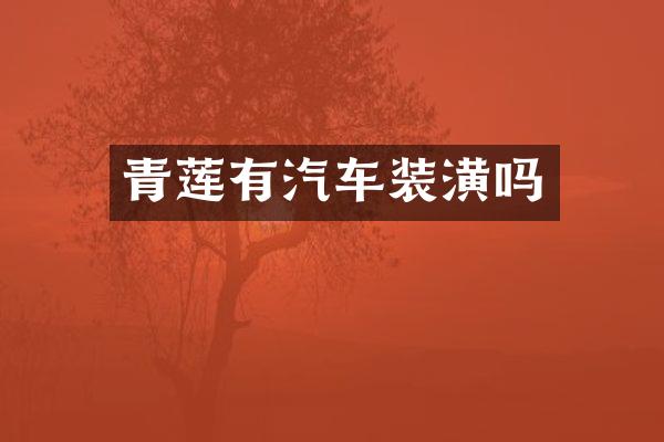 青莲有汽车装潢吗