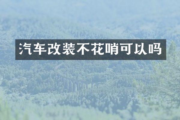 汽车改装不花哨可以吗