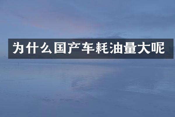 为什么国产车耗油量大呢