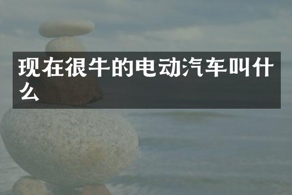 现在很牛的电动汽车叫什么