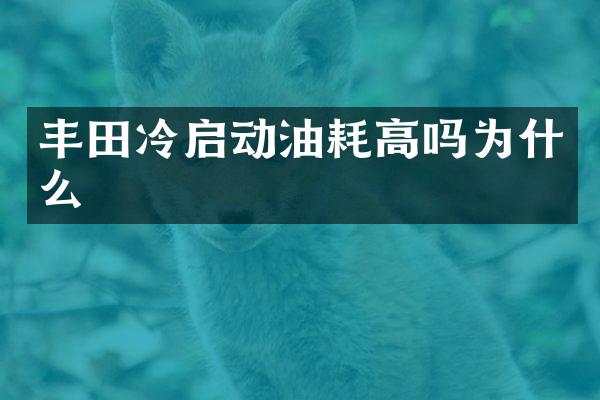 丰田冷启动油耗高吗为什么
