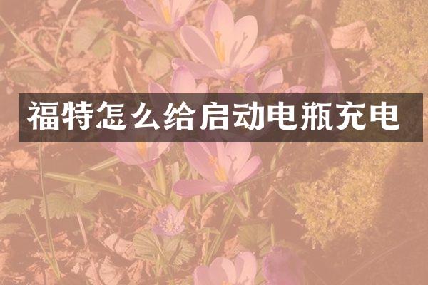 福特怎么给启动电瓶充电