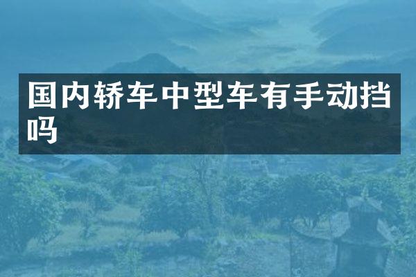 国内轿车中型车有手动挡吗