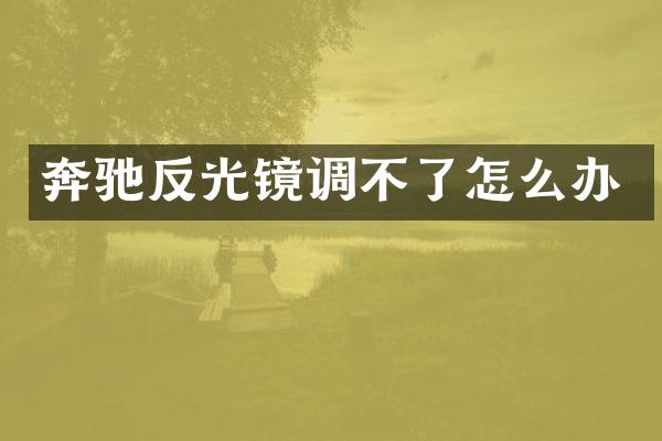 奔驰反光镜调不了怎么办