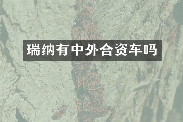 瑞纳有中外合资车吗