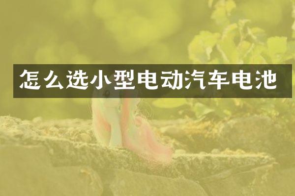 怎么选小型电动汽车电池