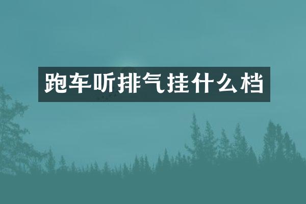跑车听排气挂什么档