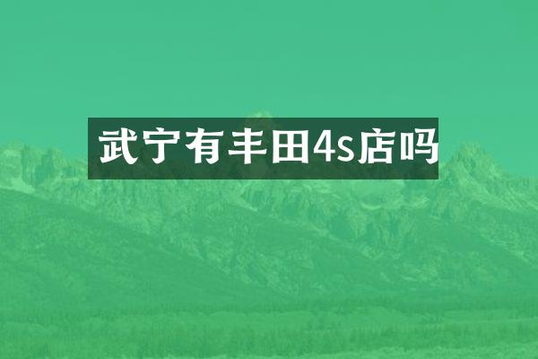 武宁有丰田4s店吗
